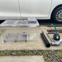 オーバーフロー濾過層　アロワナ古代魚　レイシーエイハイム