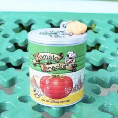 ディズニーランドカプセルトイキーチェーン