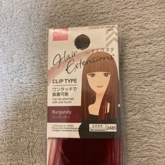 ヘアエクステ　クリップタイプの画像