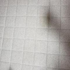 【受け渡し決定！】ラグの画像