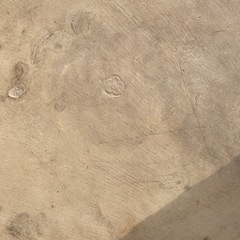 盆栽鉢　水盤　大判直径44cmの画像