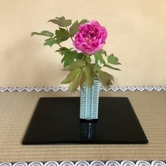 茶道教室　表千家の画像