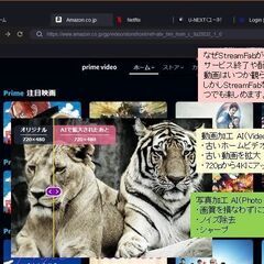特価　DVDFab365 ( DVDFab12 StreamFab 他) j1の画像