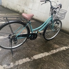 購入一年