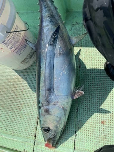 SHIMANO ストラディックsw 8000hg