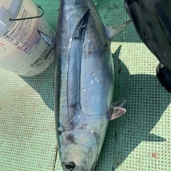 SHIMANO ストラディックsw 8000hg