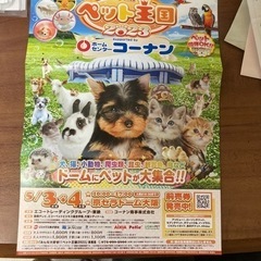 ペット王国2023 特別御招待券の画像