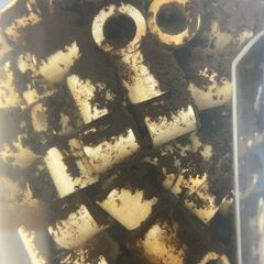 ❤①限定２個　自作ろ過器♪  エアーでお手軽強力ろ過♪　お試し価格で！❤の画像