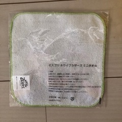 キウイブラザーズ　バケツとミニタオルの画像