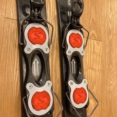 ファンスキー　サロモン　SALOMONの画像