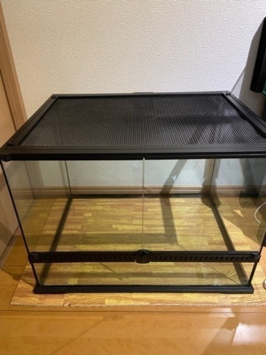 爬虫類60ケージ