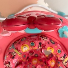 ミニィジャンパーの画像