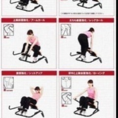 アルインコ　マルチローイングジムの画像