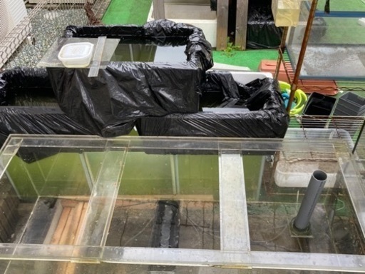 1500×600×450 オーバーフロー水槽