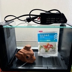 水槽　30cm