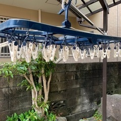 洗濯バサミハンガー　決まりました