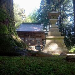 没後４５０年朝倉義景を祀る一乗谷の文化財神社を市民参加型清掃活動...