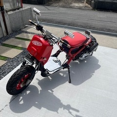 HONDA ズーマー キャブ車(カスタム多数)50cc