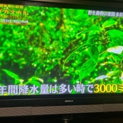 日立WOOO プラズマテレビ　42インチ　2008年製
