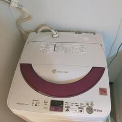 🌟SHARP洗濯機！