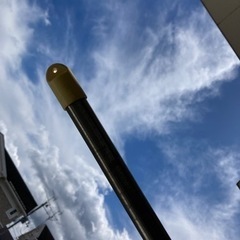 物干し竿　　3本の画像