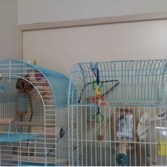 《お取引終了》鳥かご インコ 【中古】ケージHOEI00402 オカメインコ ケージ 大きめ アーチの画像