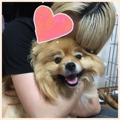 動物専門学校に通っている方、通っていた方🐕