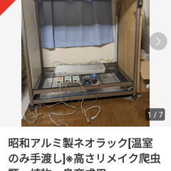 [お取引完了] 終了!!500円温室のみ価格(※確約の方のみコメ...
