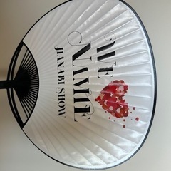 安室奈美恵　花火ショーグッズ　の画像