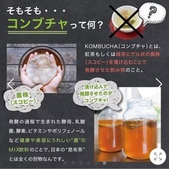 ［終了］コンブチャクレンズ KOMBUCHA CLEANSE アイランドマンゴー味　720mLの画像
