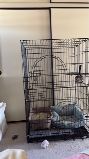 猫のゲージ