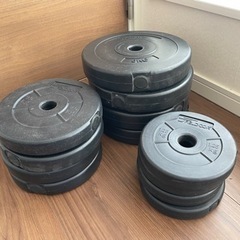 ダンベルのプレート 30kg
