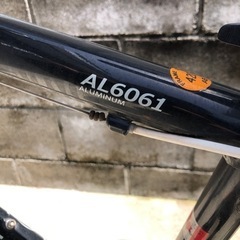 決まりましたジャンク　ルイガノの画像