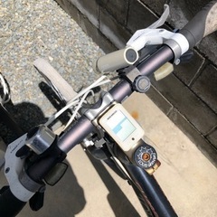 決まりましたジャンク　ルイガノの画像