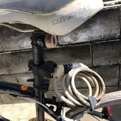 決まりましたジャンク　ルイガノの画像