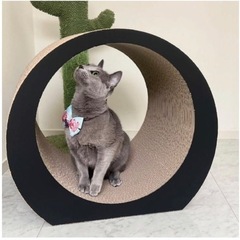 爪とぎ 差し上げますの画像