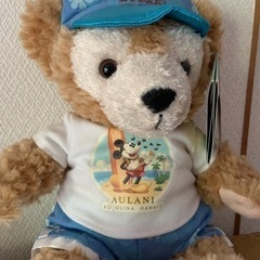 ダッフィー★ハワイ AULANI ぬいぐるみの画像