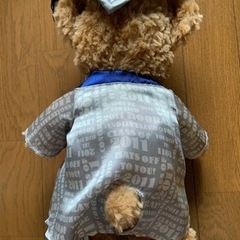 ダッフィー★カリフォルニアDisney ぬいぐるみの画像