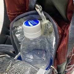 Coleman リュック バックパック 12Lの画像