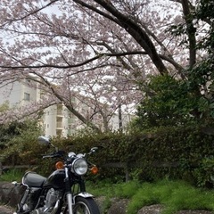 バイク友達募集　GWツーリング　20、30代
