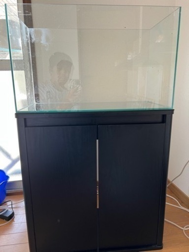水槽、水槽台、金魚セット