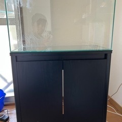 水槽、水槽台、金魚セット
