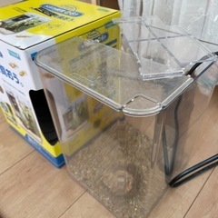 メダカの水槽の画像