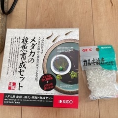 メダカの水槽の画像