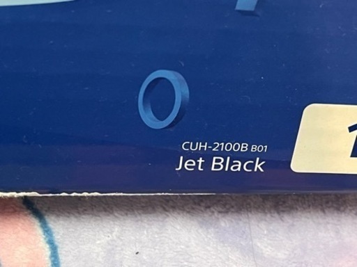 今月中のみお取引可能　値下げ可能　PS4 1TB CUH-2100