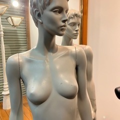 リアルマネキン2体とトルソー4体の画像