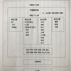 話題の歴史小説「家康と甲賀忍者・大原一族」の画像
