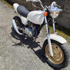 【HONDA】エイプ50　実働　カスタム多数