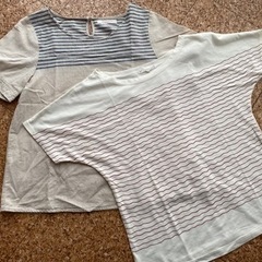 レディース Tシャツ Mサイズ