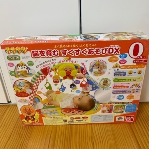 アンパンマン　脳を育むすくすくあそびDX